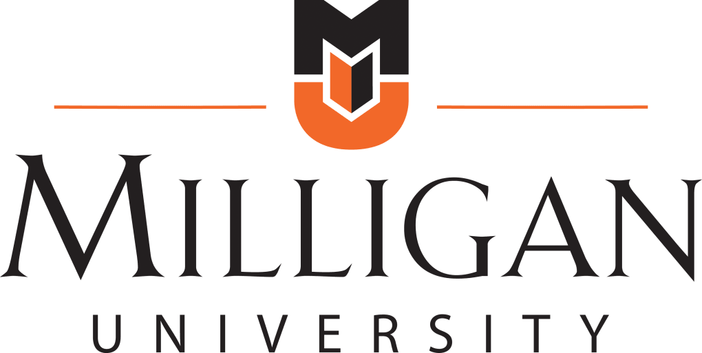 Director of Libraries